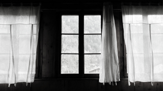 Evlerden Biri